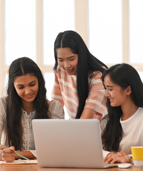 Vision Bridge Careers